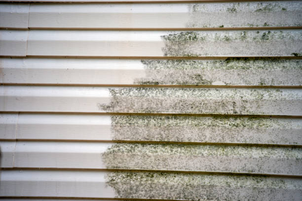  Millbrook, AL Siding Installation Pros