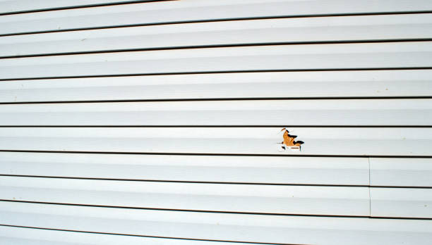 Historical Building Siding Restoration in Millbrook, AL