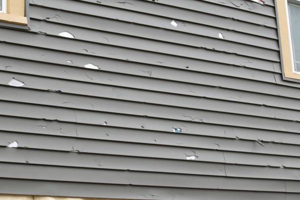 Best Historical Building Siding Restoration  in Millbrook, AL