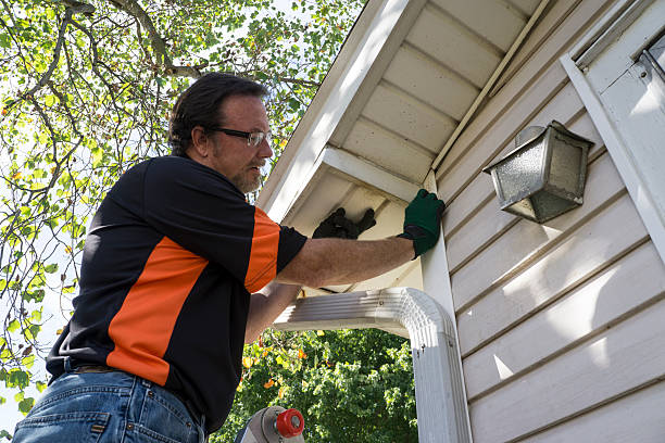 Best Siding Maintenance  in Millbrook, AL